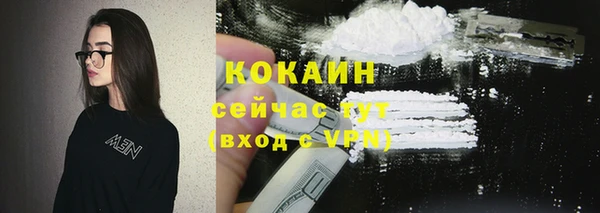 винт Елизово