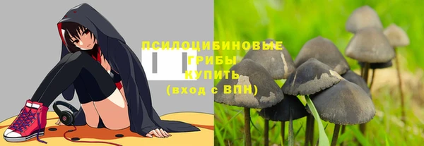 прущий лед Елабуга