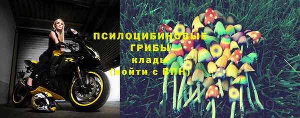 прущий лед Елабуга